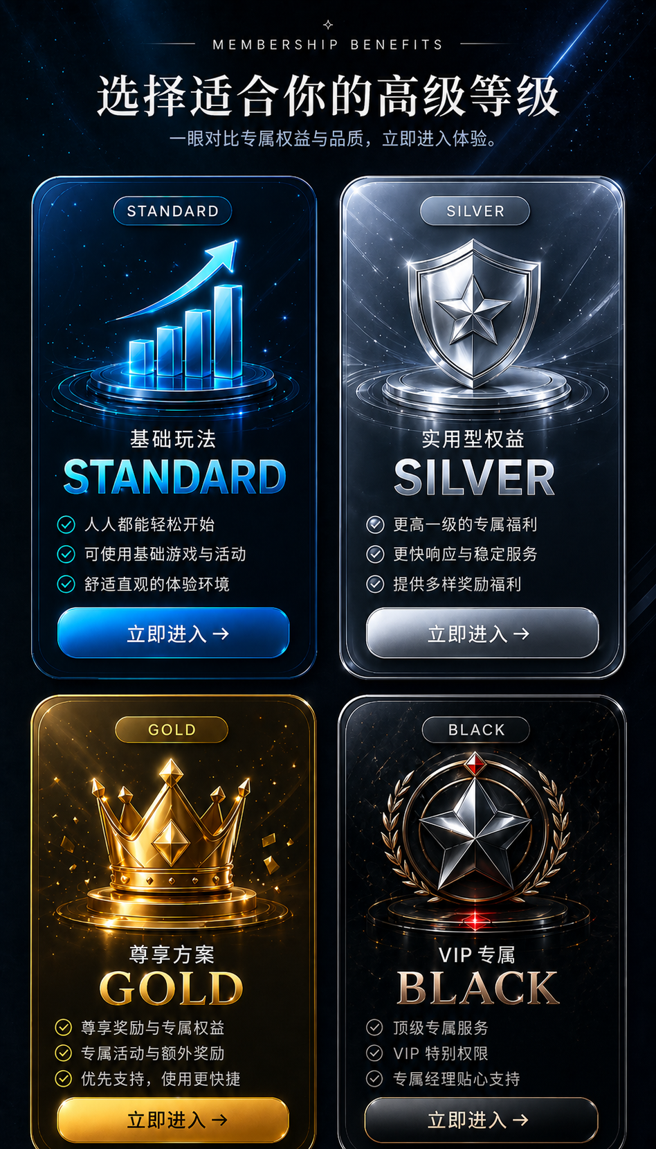 高级等级说明